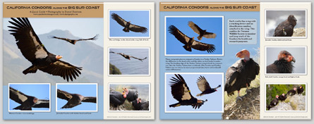 condor-guide-nav.jpg